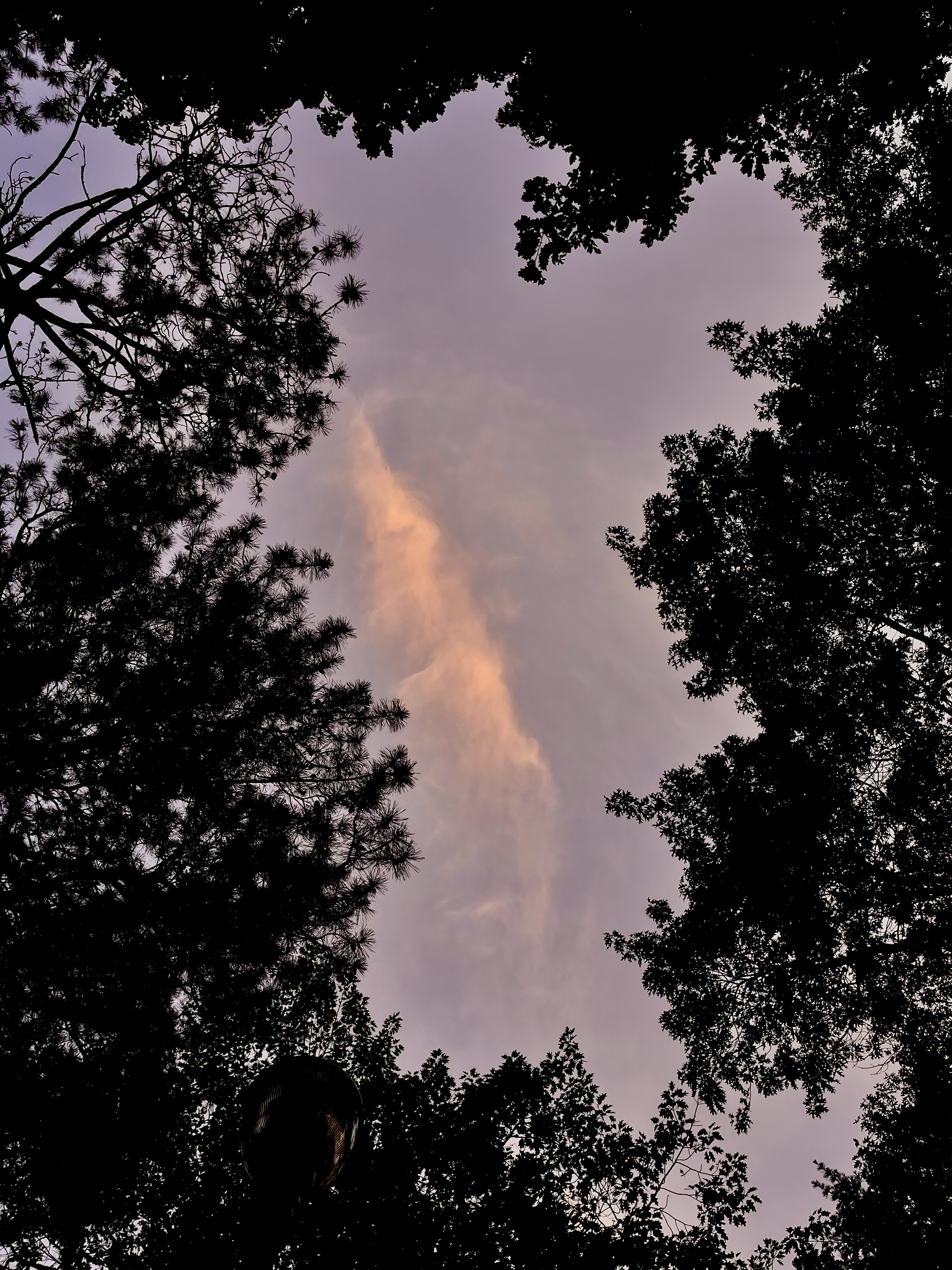 Nearby sky